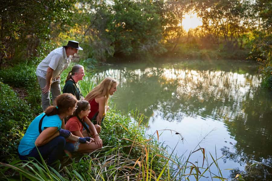 From Cairns: Rainforest & Nocturnal Wildlife Tour - Walking the rainforest after sunset