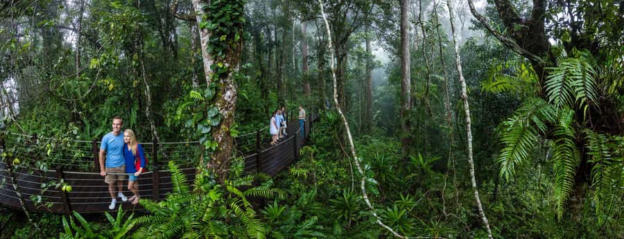 From Cairns: Self-Guided Kuranda Trip with Train and Skyrail - Should you book it?