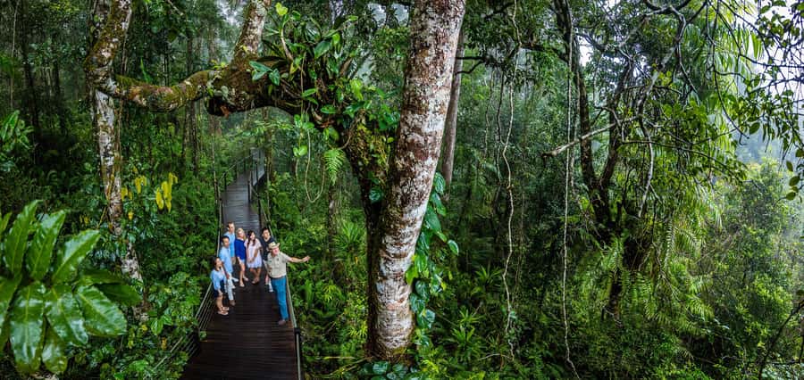 From Cairns: Self-Guided Kuranda Trip with Train and Skyrail - FAQ
