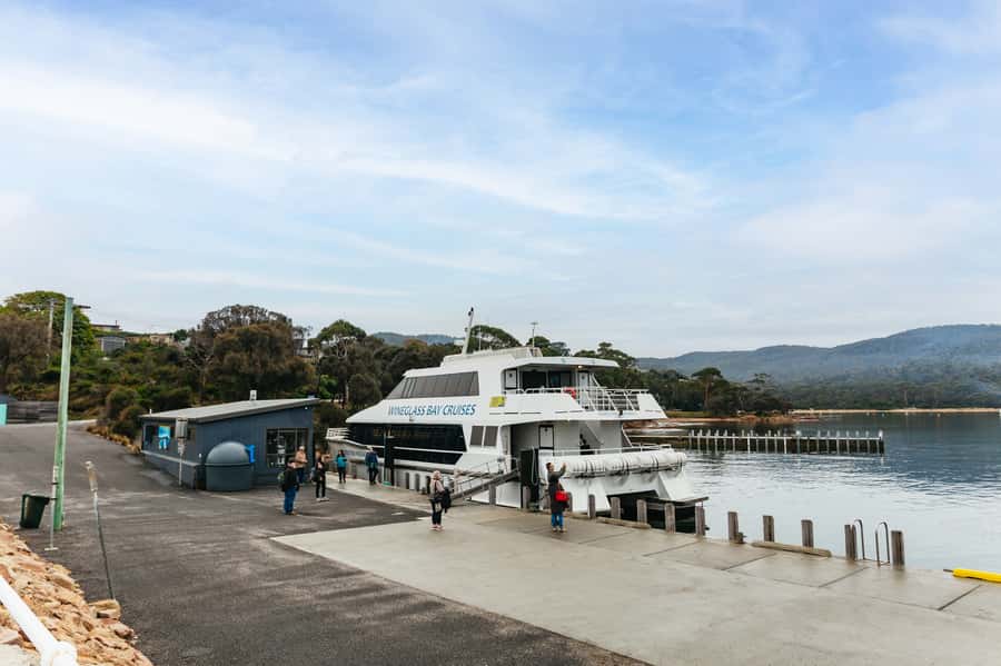 From Coles Bay: Wineglass Bay Cruise with Lunch - Wildlife sightings, from dolphins to whales