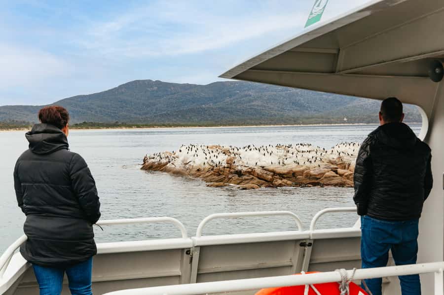 From Coles Bay: Wineglass Bay Cruise with Lunch - Comfort, sea conditions, and access