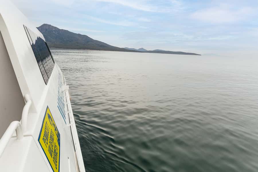From Coles Bay: Wineglass Bay Cruise with Lunch - Who should book this cruise?