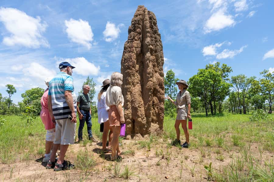 From Darwin: 3-Day Kakadu and Litchfield 4WD Camping Tour - Day one: Corroboree Billabong to Kakadu