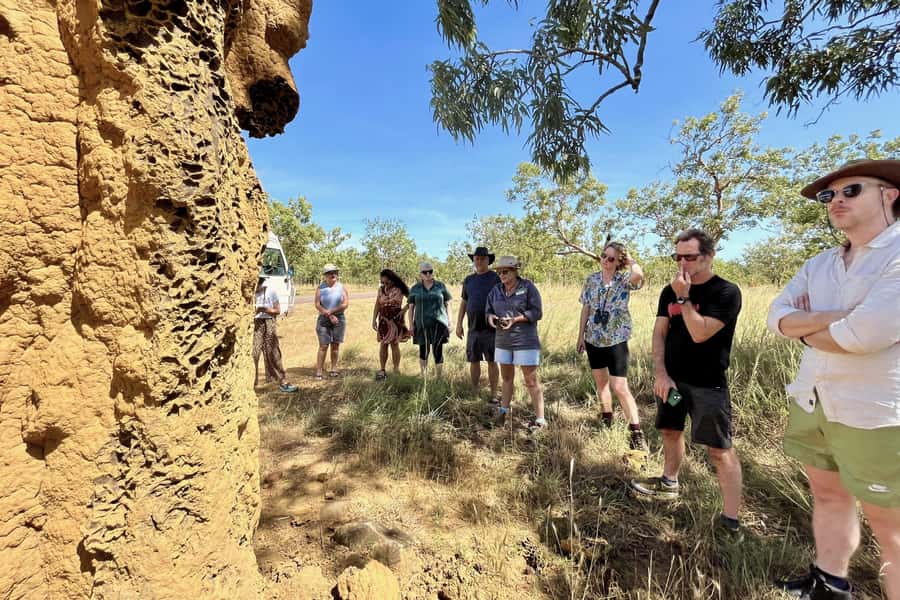 From Darwin: Litchfield National Park Day Trip - The wet season changes the experience