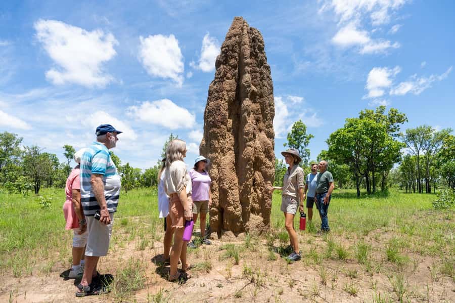 From Darwin: Litchfield National Park Day Trip - Starting in Darwin and choosing your first stop