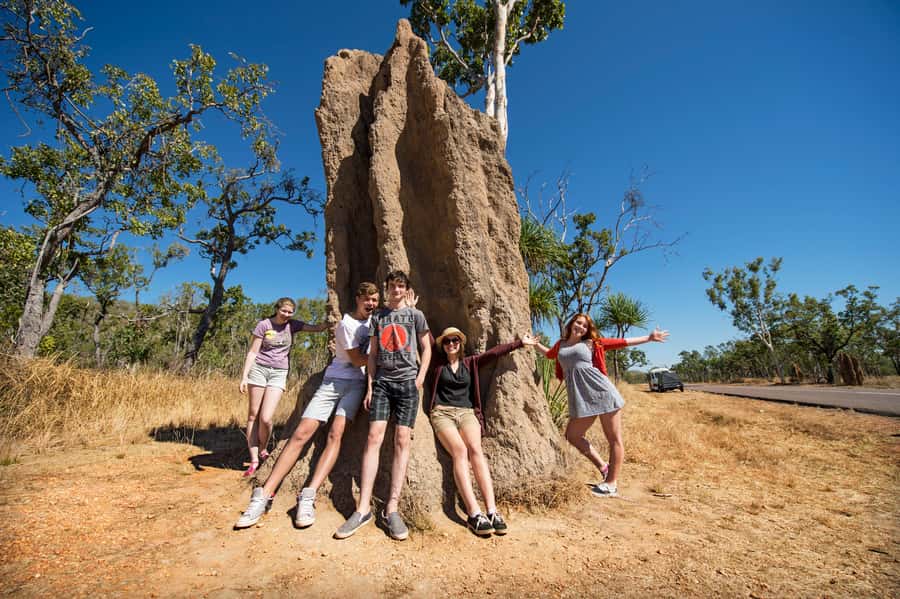 From Darwin: Litchfield National Park Full Day Tour - Why Litchfield makes a good day from Darwin