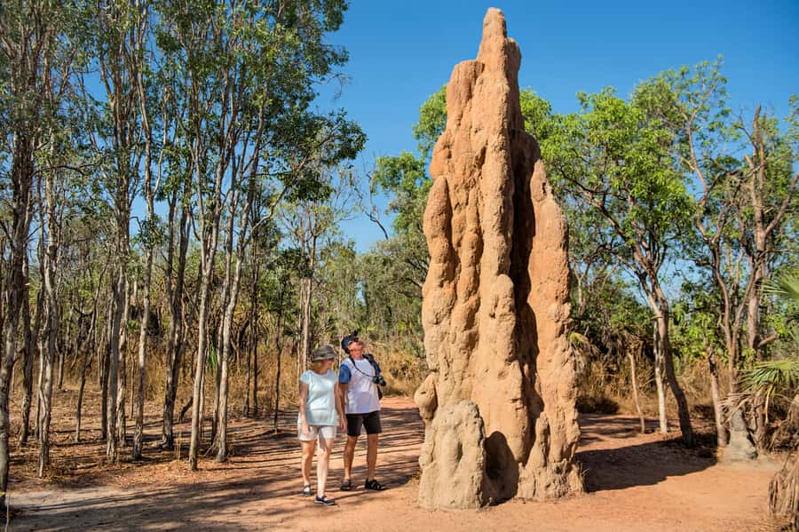 From Darwin: Litchfield National Park Full Day Tour - How much time you really get at the stops