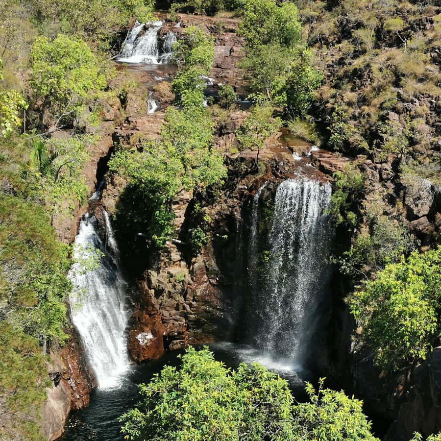 From Darwin: Litchfield National Park Small-Group Day Trip - Why Litchfield works so well as a day from Darwin