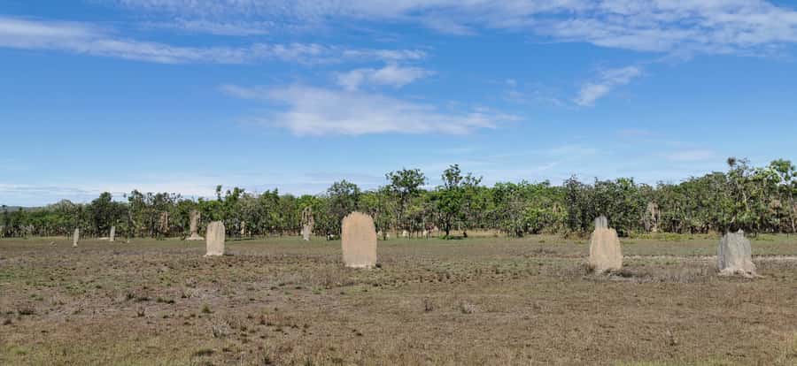 From Darwin: Litchfield National Park Small-Group Day Trip - The minivan, the heat, and the pace