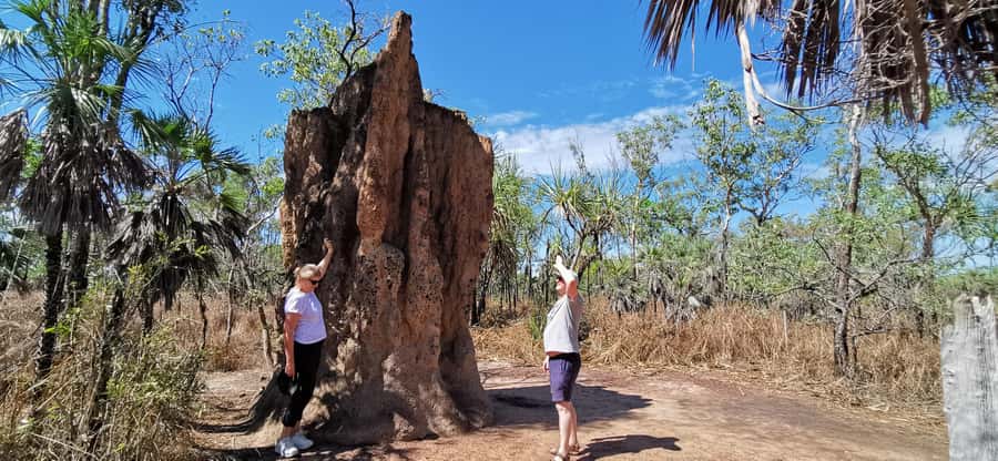 From Darwin: Litchfield National Park Small-Group Day Trip - Florence Falls and the monsoon forest walk
