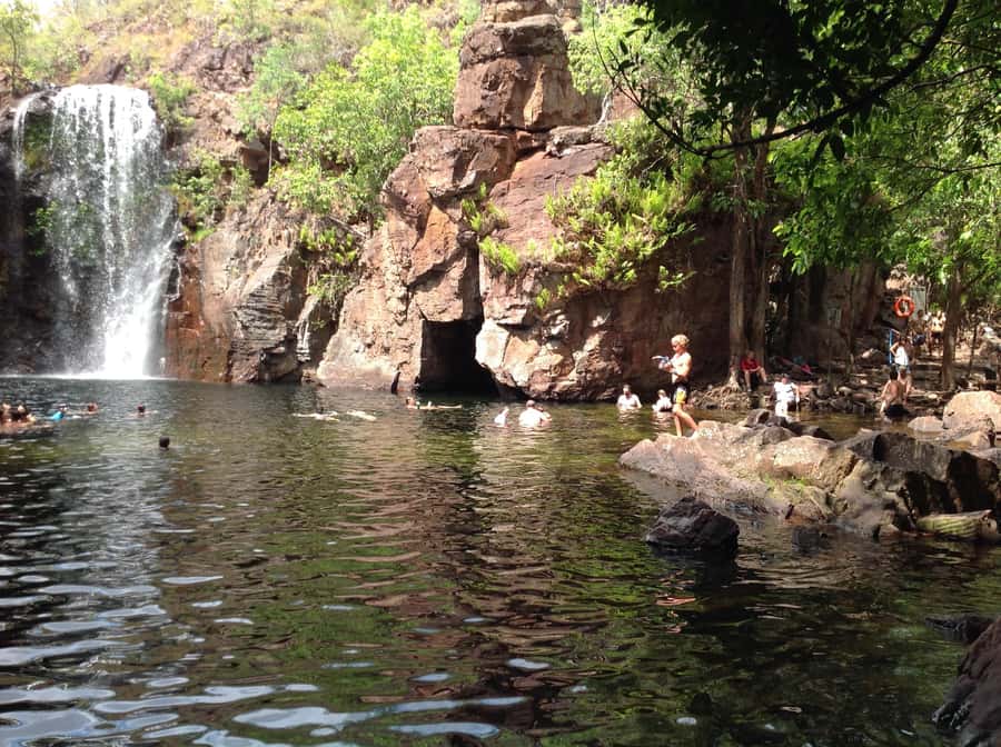 From Darwin: Litchfield Park Tour & Jumping Crocodile Cruise - Key points to know before booking