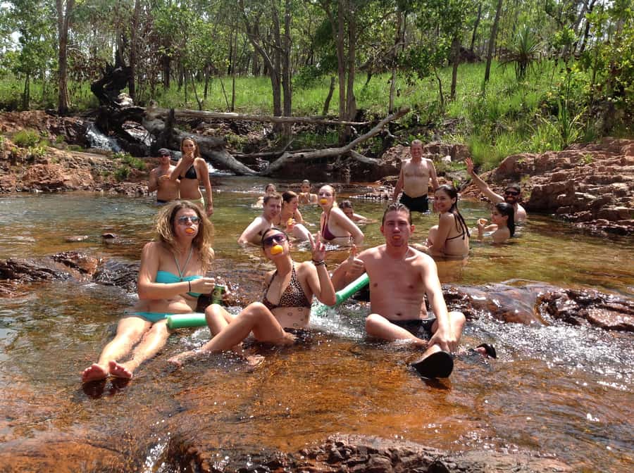 From Darwin: Litchfield Park Tour & Jumping Crocodile Cruise - The Adelaide River starts the day with real teeth