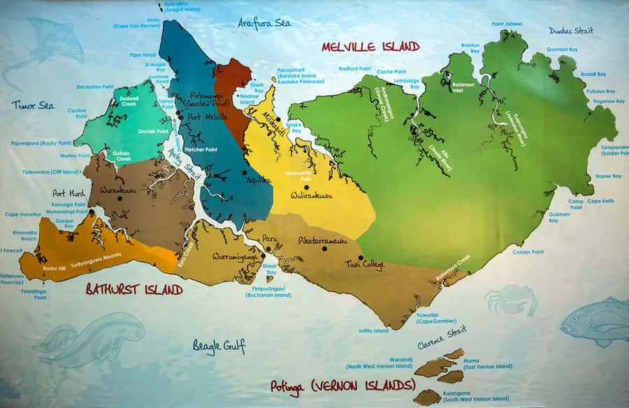 From Darwin: Tiwi Islands Aboriginal Culture Tour with Lunch - The museum and Tiwi Dreamtime stories