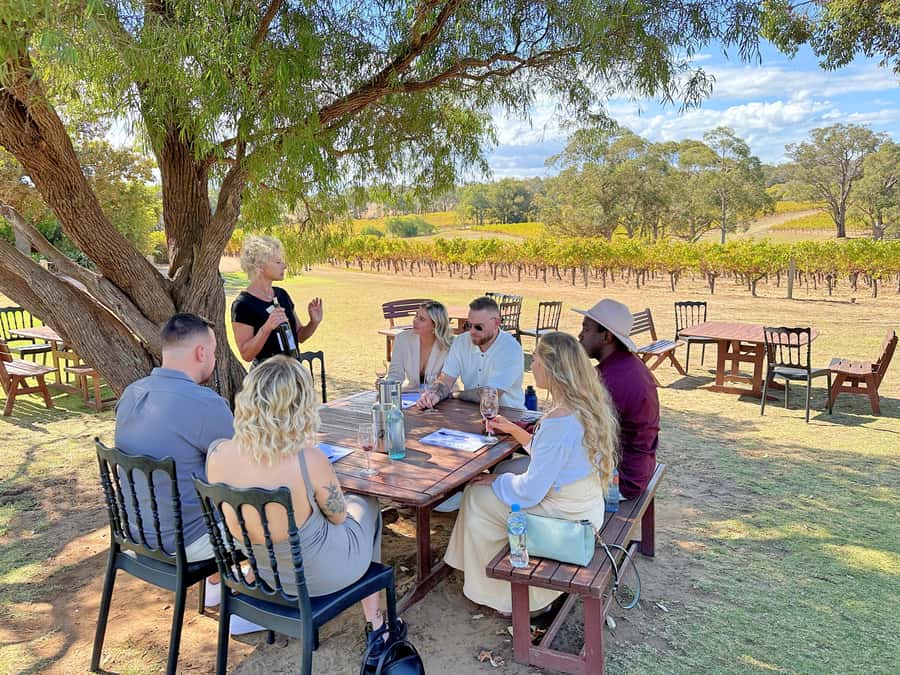 From Dunsborough/Busselton: Margaret River Wine Adventure - Should you book the Margaret River Wine Adventure?