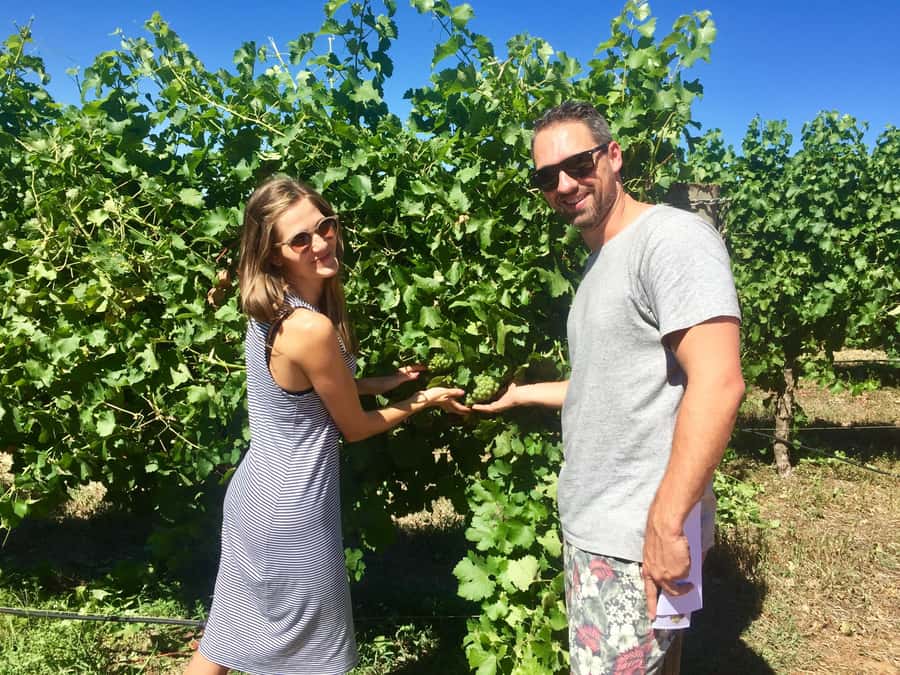 From Dunsborough/Busselton: Margaret River Wine Adventure - What the $123 price really covers