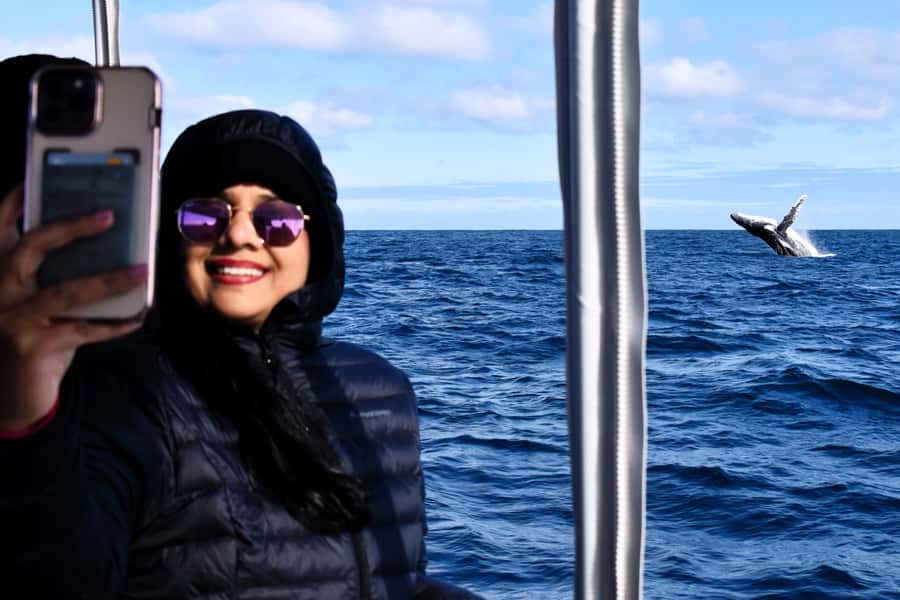 From Fremantle: 2-Hour Luxury Whale-Watching Cruise - Setting Out From Fremantle Fishing Boat Harbour