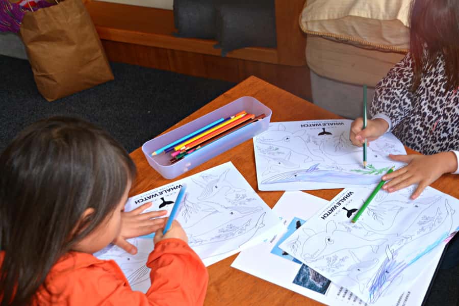 From Fremantle: 2-Hour Luxury Whale-Watching Cruise - Comfort, Families, and Sea Conditions