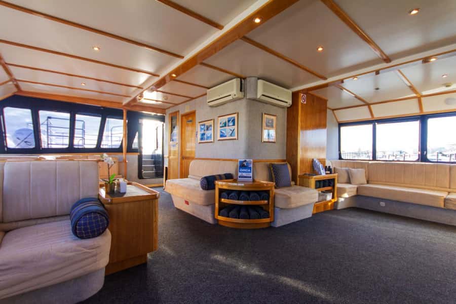 From Fremantle: 2-Hour Luxury Whale-Watching Cruise - Who Should Book This Cruise?
