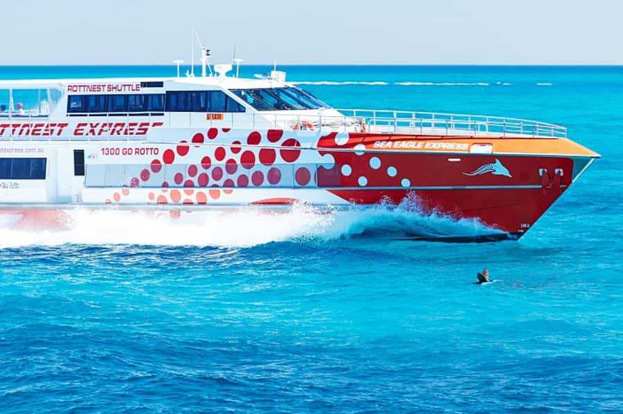 From Fremantle: Rottnest Island Ferry & Bus Day Tour - Why this Rottnest day trip works