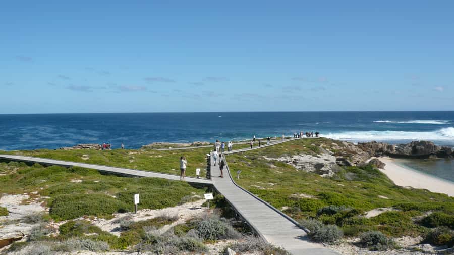 From Fremantle: Rottnest Island Ferry & Bus Day Tour - Starting at Fremantle’s B Shed terminal