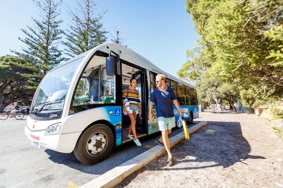 From Fremantle: Rottnest Island Ferry & Bus Day Tour - Seeing Rottnest by Discovery Coach