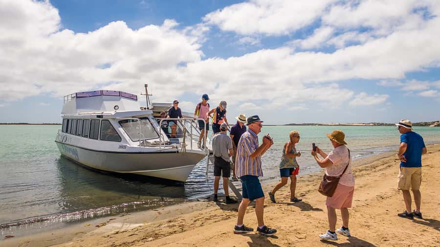 From Goolwa: Half-Day Coorong Experience - Why this Coorong trip is worth your half-day