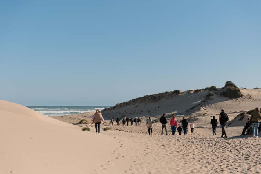 From Goolwa: Half-Day Coorong Experience - Walking through the dunes to 90 Mile Beach