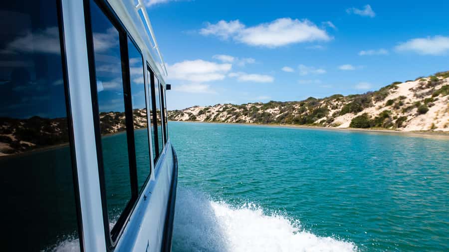 From Goolwa: Half-Day Coorong Experience - Seals, birds, and the last kilometres of the Murray