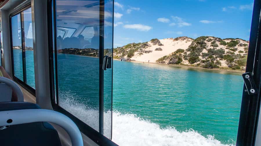From Goolwa: Murray Mouth Cruise - Following the final Murray kilometres
