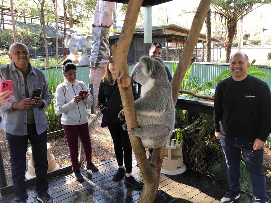 From Haymarket: Hunter Valley Wine and Wildlife Day Trip - Key points to know before you book