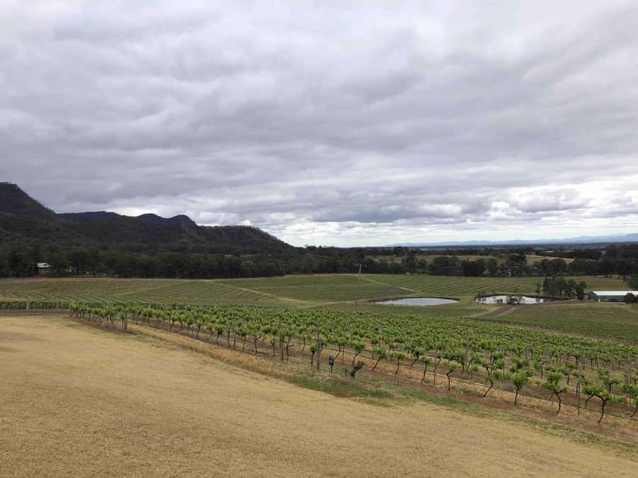 From Haymarket: Hunter Valley Wine and Wildlife Day Trip - Who should book this day trip