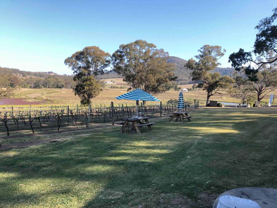 From Haymarket: Hunter Valley Wine and Wildlife Day Trip - The views and the pace of the day