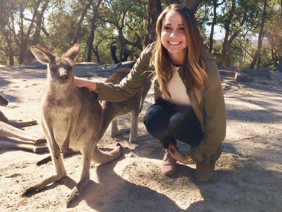 From Haymarket: Hunter Valley Wine and Wildlife Day Trip - The 7:40 AM pickup in Haymarket