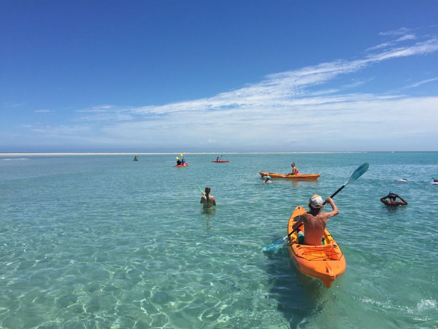 From Hervey Bay: Half-Day K'gari Fraser Island Beach Cruise - Choosing between K’gari and Pelican Banks