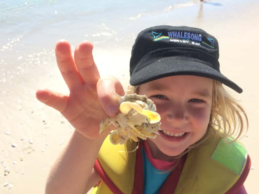 From Hervey Bay: Half-Day K'gari Fraser Island Beach Cruise - The BBQ lunch on the return cruise