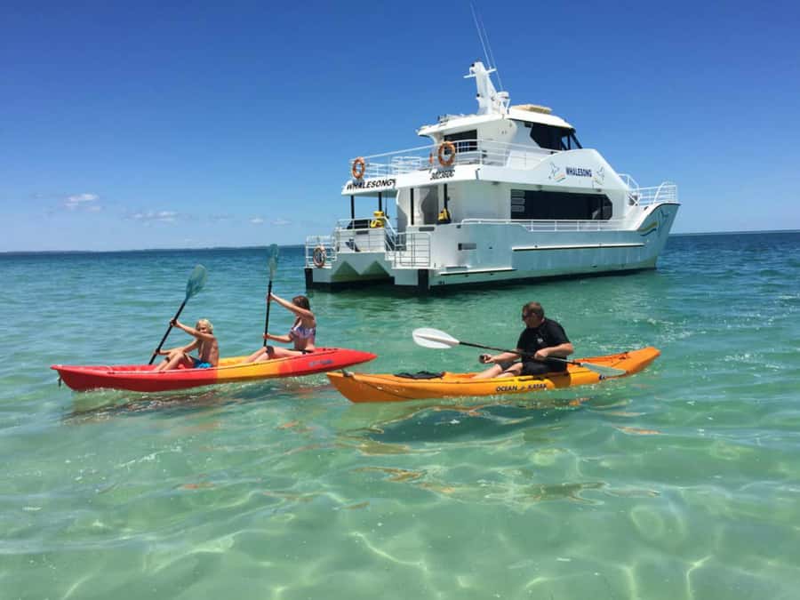 From Hervey Bay: Half-Day K'gari Fraser Island Beach Cruise - Is $113 good value for five hours?
