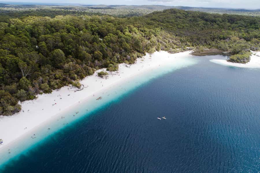 From Hervey Bay: K'gari, Fraser Island Full-Day Coach Tour - Key points to know before booking