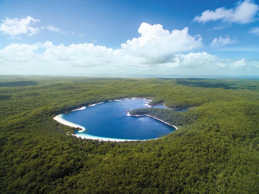 From Hervey Bay: K'gari, Fraser Island Full-Day Coach Tour - Lunch at K’gari Beach Resort