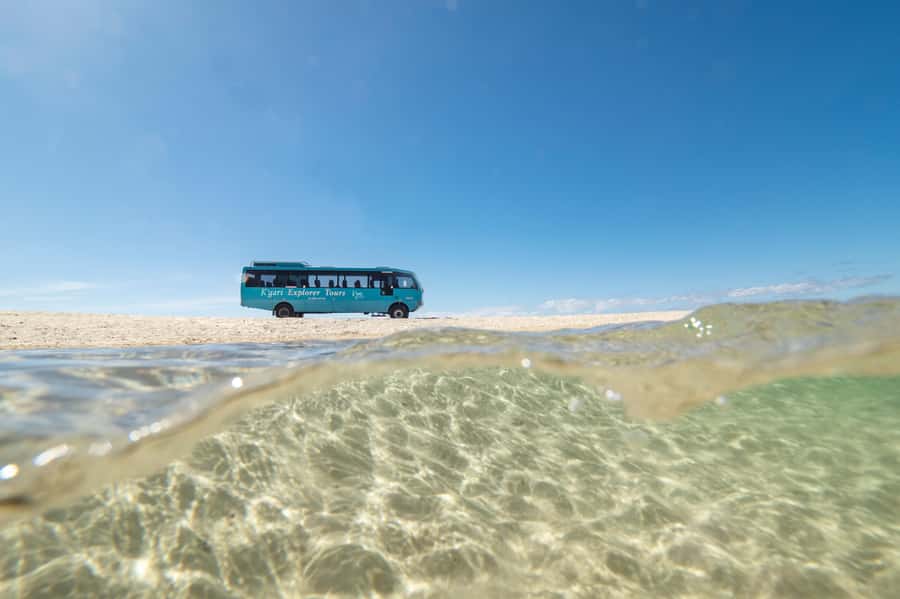From Hervey Bay: K'gari, Fraser Island Full-Day Coach Tour - Who should book this tour?
