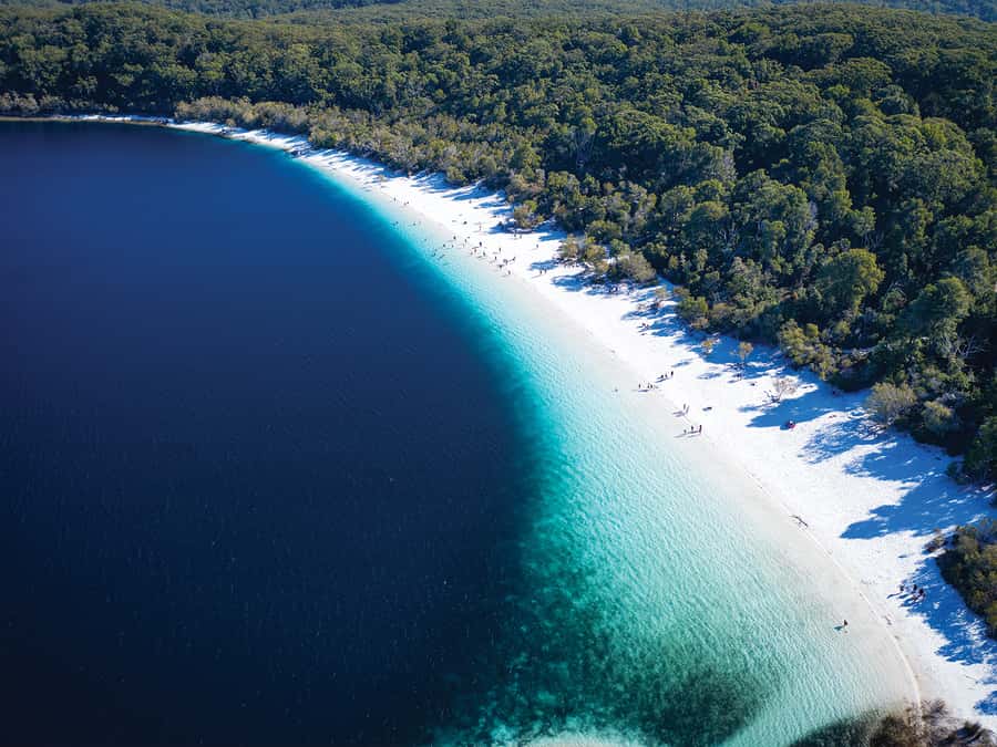 From Hervey Bay: K'gari, Fraser Island Two-Day Coach Tour - Lake McKenzie, the island’s most famous swim