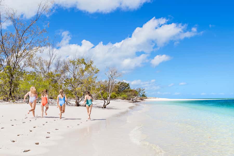 From Hervey Bay: Remote K'gari Tour by Boat with Lunch - Wildlife and humpback whales from July to October