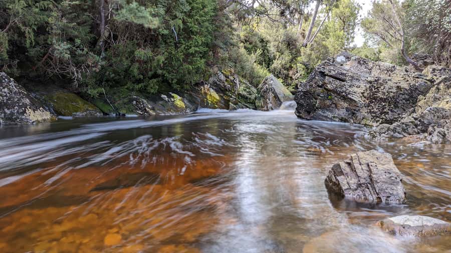 From Hobart: 5-Day Tasmania West & East Coast Tour - Key points to know before booking