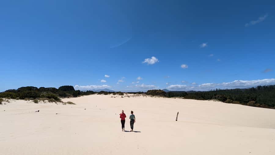 From Hobart: 5-Day Tasmania West & East Coast Tour - Day 4: Bay of Fires, palawa culture, and the road to Bicheno