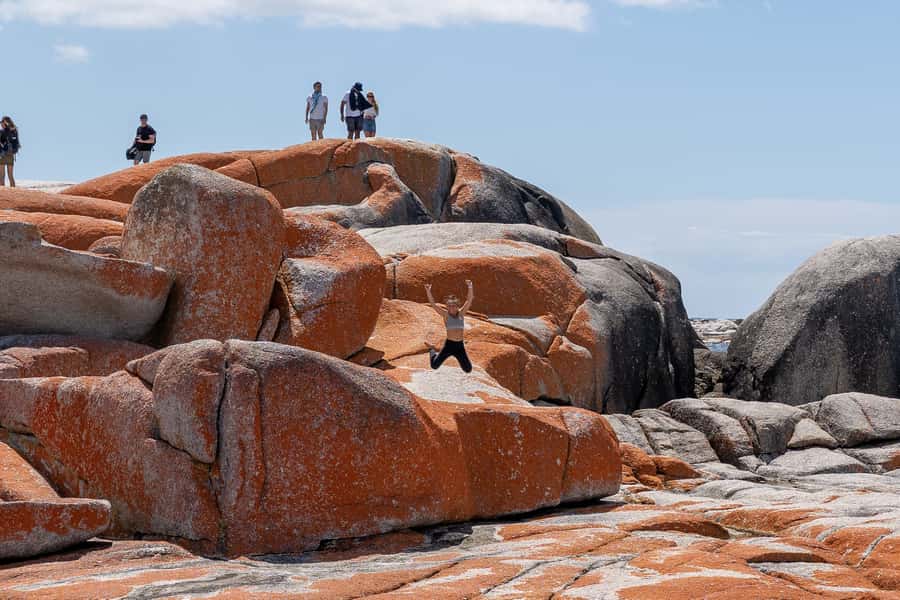From Hobart: 5-Day Tasmania West & East Coast Tour - Day 1: Hobart to Strahan through waterfalls and wild rivers