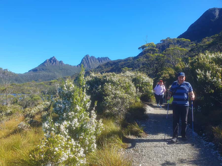 From Hobart: Active Day Trip to Cradle Mountain - Choosing between Marion’s Lookout and Dove Lake