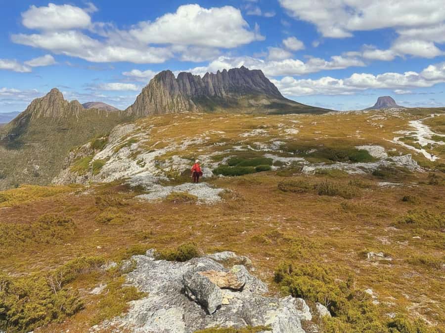From Hobart: Active Day Trip to Cradle Mountain - Dinner in Deloraine before the return to Hobart