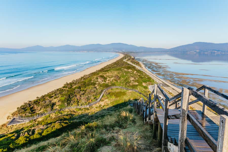 From Hobart/Adventure Bay: Bruny Island Wilderness Cruise - Key points to know before you book