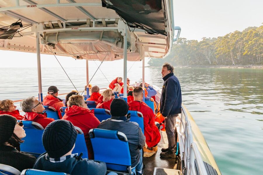 From Hobart/Adventure Bay: Bruny Island Wilderness Cruise - Breathing Rock, cliffs, and the sea caves