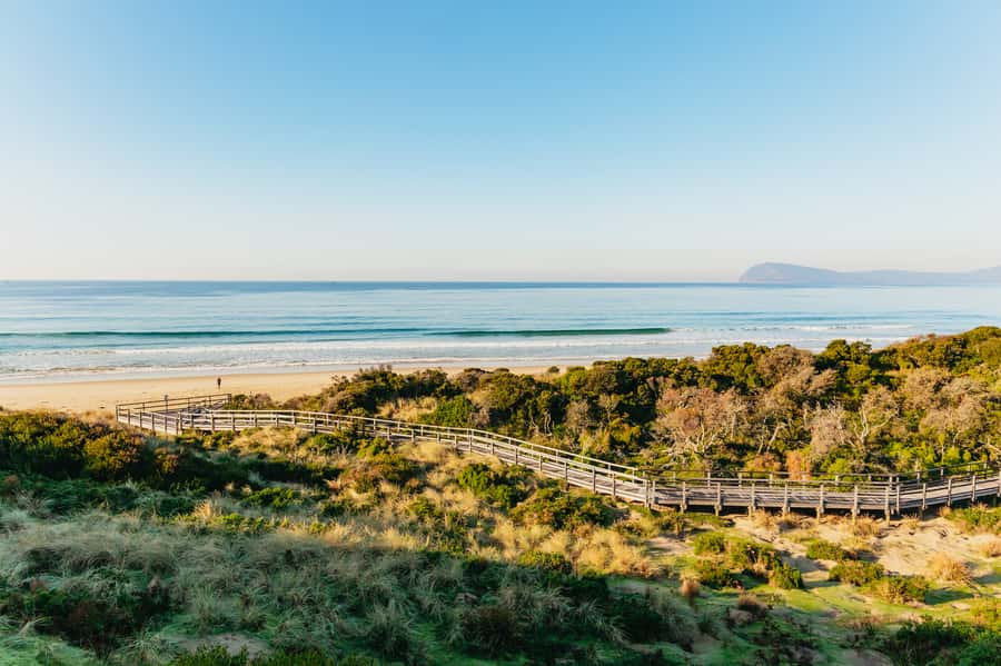 From Hobart/Adventure Bay: Bruny Island Wilderness Cruise - Exploring Bruny Island after the cruise