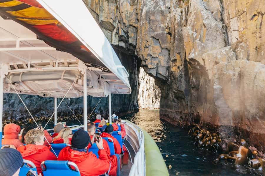 From Hobart/Adventure Bay: Bruny Island Wilderness Cruise - Choosing Hobart or Adventure Bay